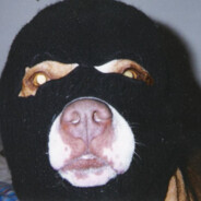 Kosin