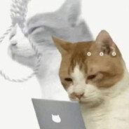 ʜᴀʀᴅ2ɴᴜᴛ taxidermy