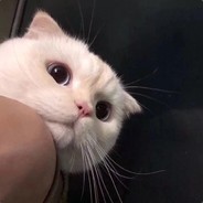 麻辣烫