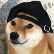 shibe