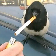 MaGpiE