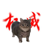一岁小陈