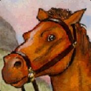 a random horse