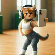 WildCAT