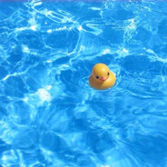 Just a smol duck