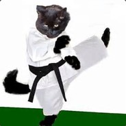 Katzenkick