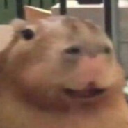 Capybara