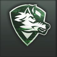 SWENoobFTW -RoadToDmg-