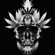 Budz