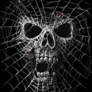 SpyderGrey