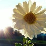 七月