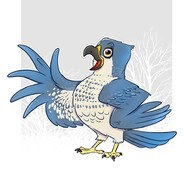 †Falcon†