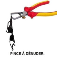 pinceadénudé