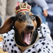 DogR3iiii