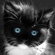 Steam profile picture for @crackers