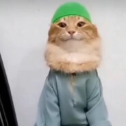 mr-oski777