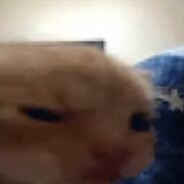 Reformed
