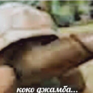 Доминик Лудоретто