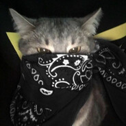 meaw