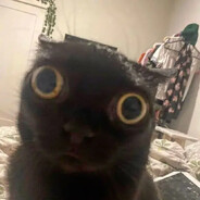 Kamikaze