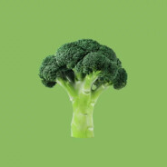 PROccoli