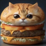 бургир кот