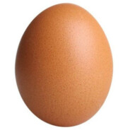 egg