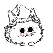 bolsiuseng