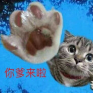 冲天猪皮冻