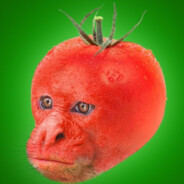 tomaattiapina