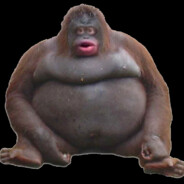 Sil3ntZ