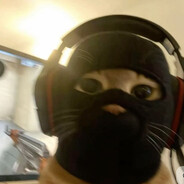 Deexez