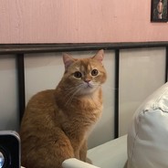 Персик