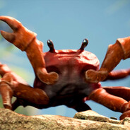 Grubby Crab