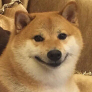 maomaocong2