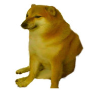 Doggo