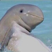 H4PPY