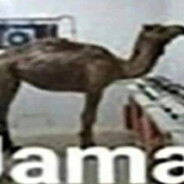 НАРКОША ЕБАНЫ