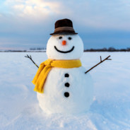 snowyb0l