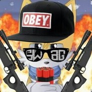 454_stalker12312328