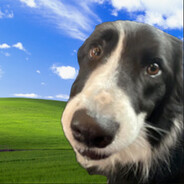 Dan