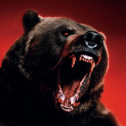 Хүрэн Баавгай (BEAR)