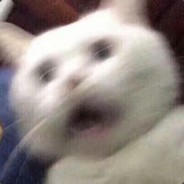 青城白素贞