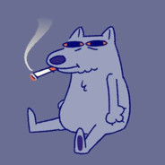 WARMDOG