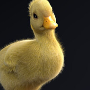 Bebek