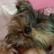 Cassie20