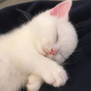 Jnitzi's pet
