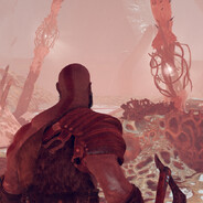 icaruswann