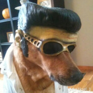 jogi_sigma_obibok