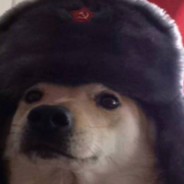tvictorluposlh